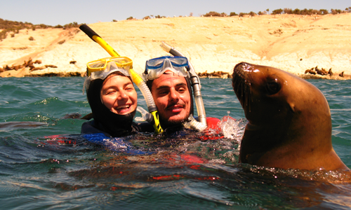 Snorkeling with sea lions